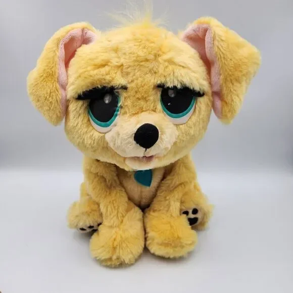 Rare Golden Rescue Pets Puppy - Picture 10 of 12